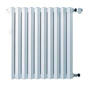 Photo Radiateur fonte Savane