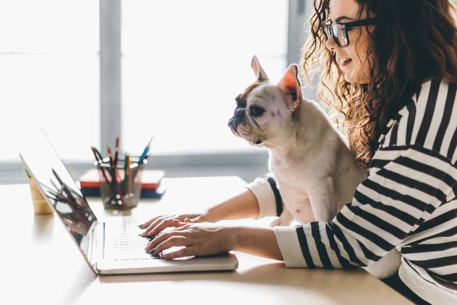 Image d'une femme sur son ordinateur avec son chien